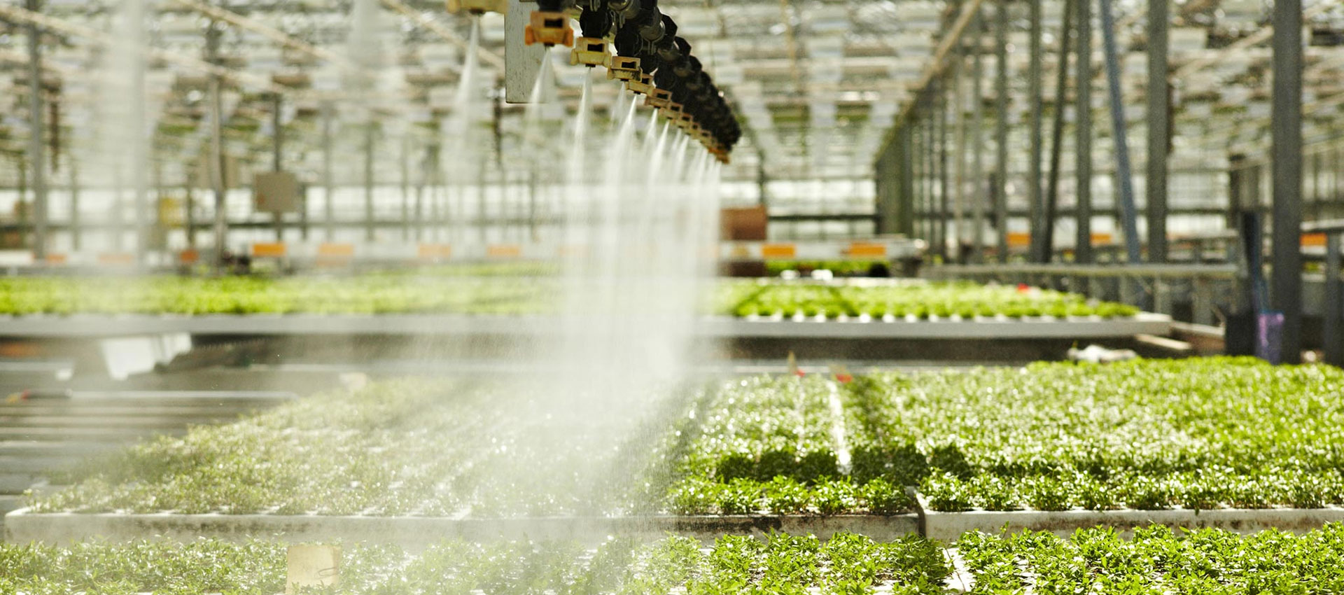 Pang-agrikultura na Patubig