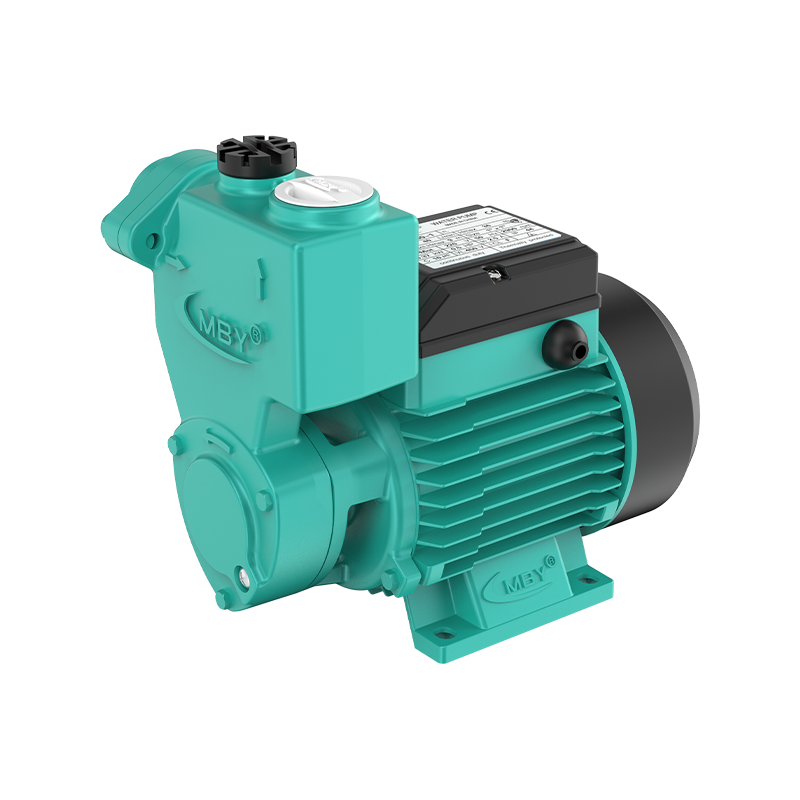 MKSm Self-Priming Peripheral Pump